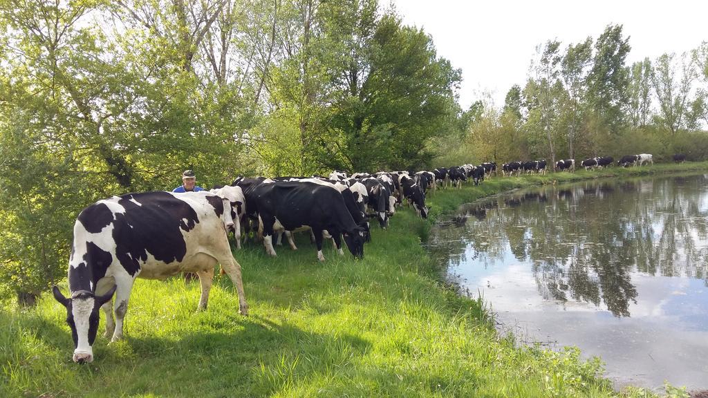 Charmante Maison A La Ferme Valderies ภายนอก รูปภาพ