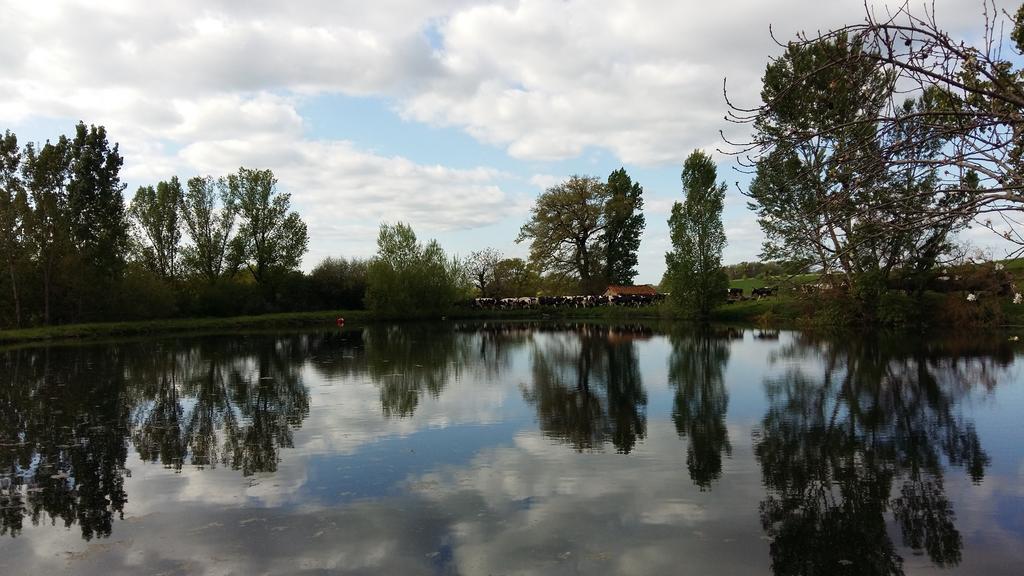 Charmante Maison A La Ferme Valderies ภายนอก รูปภาพ