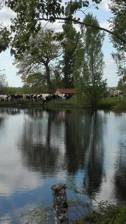Charmante Maison A La Ferme Valderies ภายนอก รูปภาพ