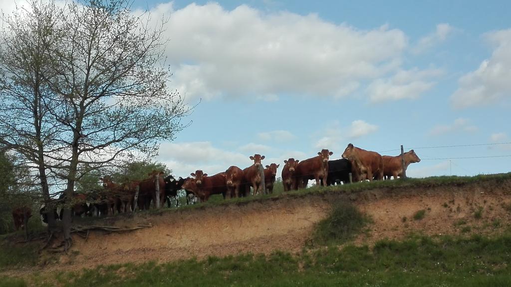Charmante Maison A La Ferme Valderies ภายนอก รูปภาพ