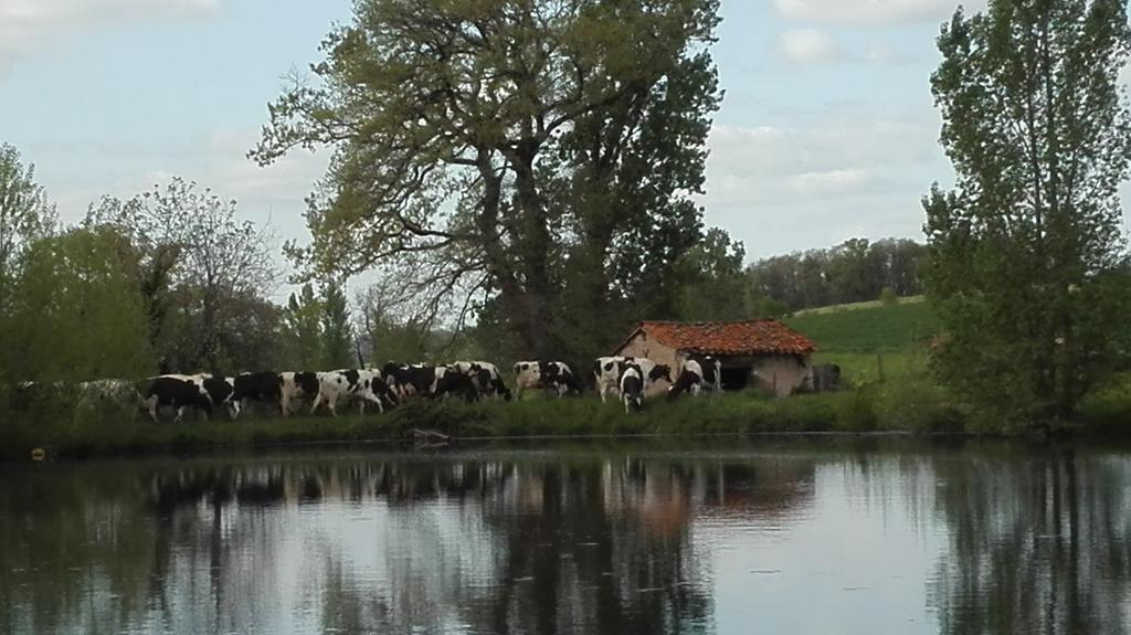 Charmante Maison A La Ferme Valderies ภายนอก รูปภาพ
