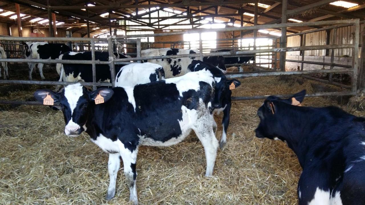 Charmante Maison A La Ferme Valderies ภายนอก รูปภาพ